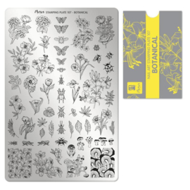 Moyra Stamping Plate 107 - Botanical