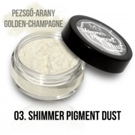 Shimmer Pigment Dust 03 - 2g