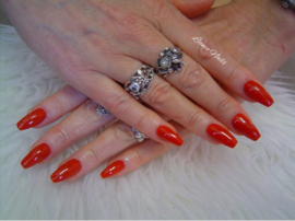 2-Daagse Basis Opleiding Gellak