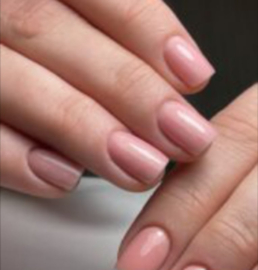 2-Daagse Basis Opleiding BIAB