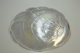 Glass  Shell - Mermaid Shine