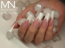 6 Daagse Basis Opleiding Acryl Mystic Nails