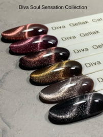 Diva Gellak Rocket River 15ml