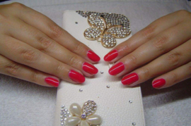 2-Daagse Basis Opleiding Gellak