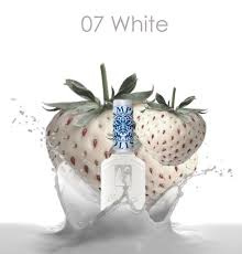 Moyra Stamping Nail Polish sp07 - White