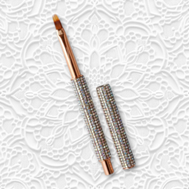 Ombre Brush With Diamonds
