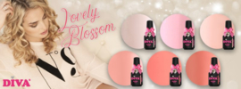 Diva Lovely Blossom Collection