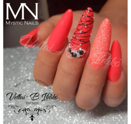 15 Daagse Vakopleiding Gel Mystic Nails