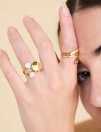 Ring Met Cirkels