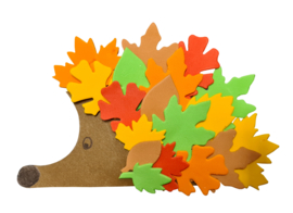 HerfstBlaadjes Foamies