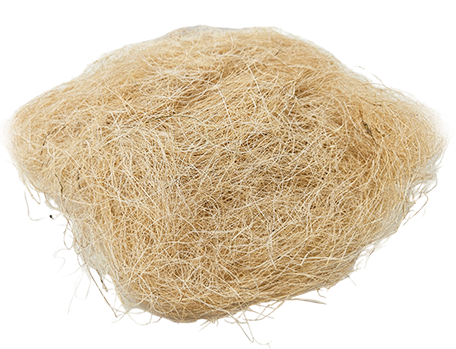 Sisal