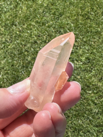 Peach Lemurian 12 - met key