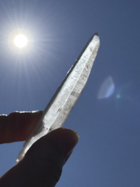 Peach Lemurian 9