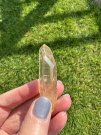 Citrien Lemurian 13