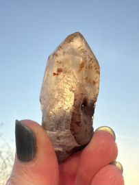Lemurian (Red Coated) Dreamtime Healers 9