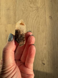 Lemurian (Red Coated) Dreamtime Healers 9