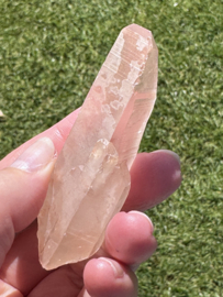 Peach Lemurian 3