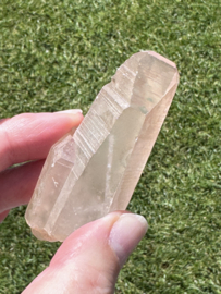 Peach Lemurian 3