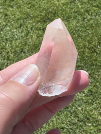 Peach Lemurian 14