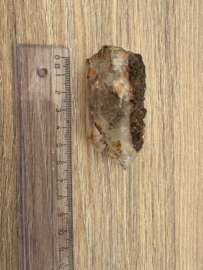 Lemurian (Red Coated) Dreamtime Healers 1