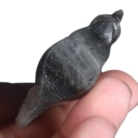Labradoriet eenhoorn (ongeveer 5 cm)