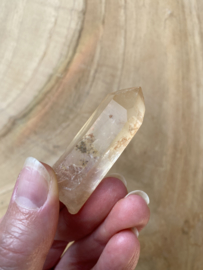 Tangerine Lemurian 10