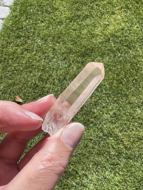 Peach Lemurian 22