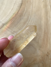 Tangerine Lemurian 9