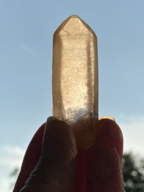 Tangerine Lemurian 16