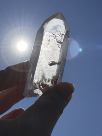 Peach Lemurian 5