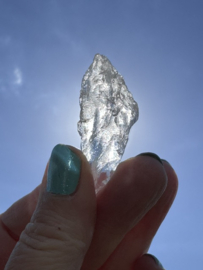 Medium Lemurian Root / Code Keeper of Freedom 3-5 cm