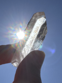 Peach Lemurian 20