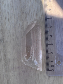 Peach Lemurian 7