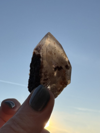 Lemurian (Red Coated) Dreamtime Healers 8