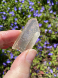 Citrien Lemurian 9