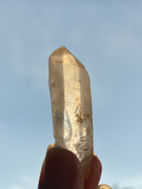 Tangerine Lemurian 10