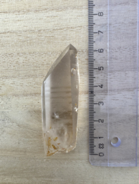 Citrien Lemurian 13