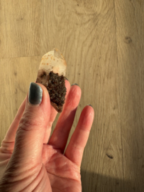 Lemurian (Red Coated) Dreamtime Healers 9
