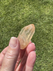Golden Healer Lemurian 9 - met key
