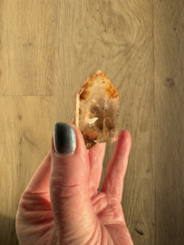 Lemurian (Red Coated) Dreamtime Healers 10