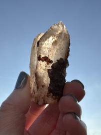 Lemurian (Red Coated) Dreamtime Healers 1