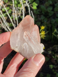 Pink Lemurian - cluster 4