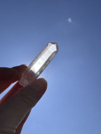 Peach Lemurian 22