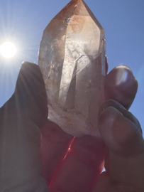 Peach Lemurian 6