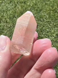 Peach Lemurian 19