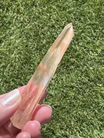 Peach Lemurian 8