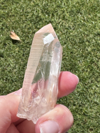Peach Lemurian 5