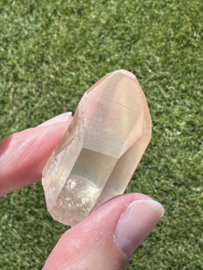Peach Lemurian 19