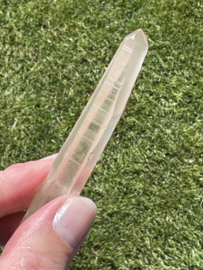 Peach Lemurian 9