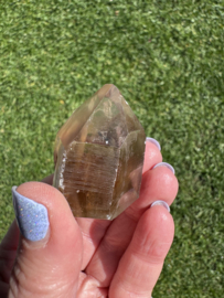 Lemurische Rookkwarts 10